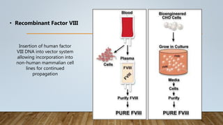 Insertion of human factor
VIII DNA into vector system
allowing incorporation into
non-human mammalian cell
lines for continued
propagation
• Recombinant Factor VIII
 