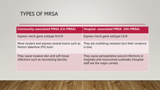 Mrsa Two Types Main antimicrobial resistance pattern in bacteria.pptx