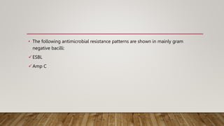 Main antimicrobial resistance pattern in bacteria.pptx