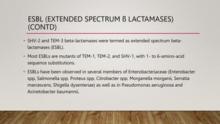 Main antimicrobial resistance pattern in bacteria.pptx
