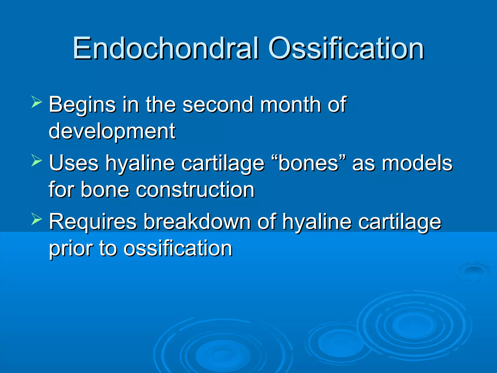 Endochondral OssificationEndochondral Ossification
 Begins in the second month ofBegins in the second month of
developmentdevelopment
 Uses hyaline cartilage “bones” as modelsUses hyaline cartilage “bones” as models
for bone constructionfor bone construction
 Requires breakdown of hyaline cartilageRequires breakdown of hyaline cartilage
prior to ossificationprior to ossification
 