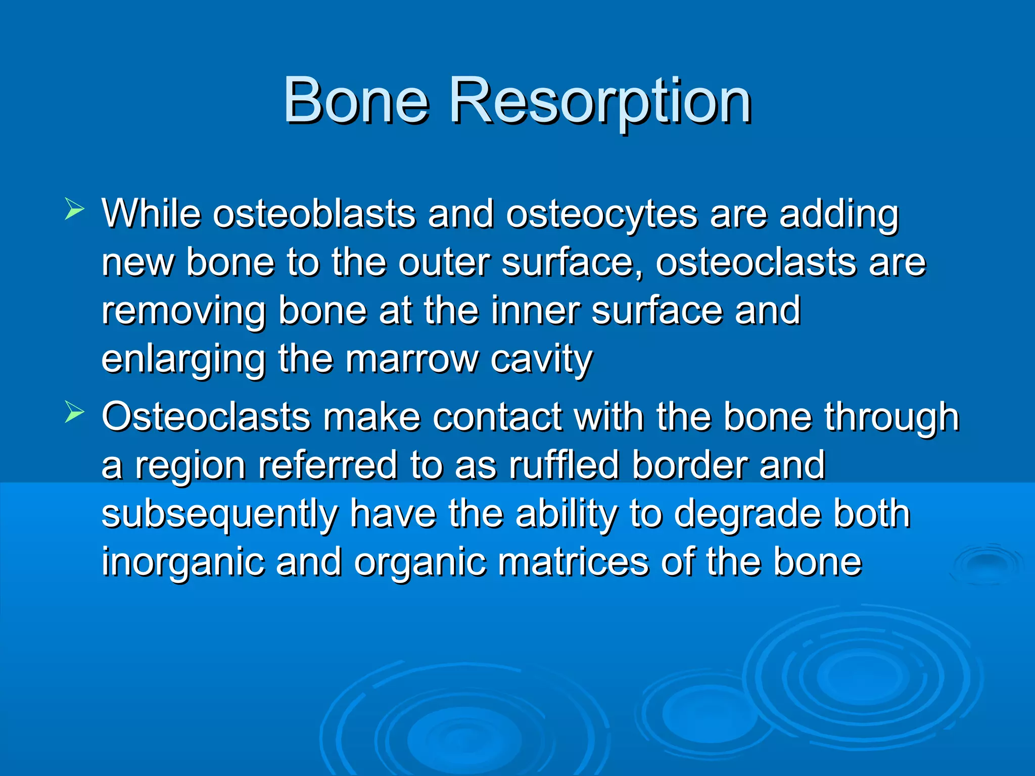 Bone ResorptionBone Resorption
 While osteoblasts and osteocytes are addingWhile osteoblasts and osteocytes are adding
new bone to the outer surface, osteoclasts arenew bone to the outer surface, osteoclasts are
removing bone at the inner surface andremoving bone at the inner surface and
enlarging the marrow cavityenlarging the marrow cavity
 Osteoclasts make contact with the bone throughOsteoclasts make contact with the bone through
a region referred to as ruffled border anda region referred to as ruffled border and
subsequently have the ability to degrade bothsubsequently have the ability to degrade both
inorganic and organic matrices of the boneinorganic and organic matrices of the bone
 