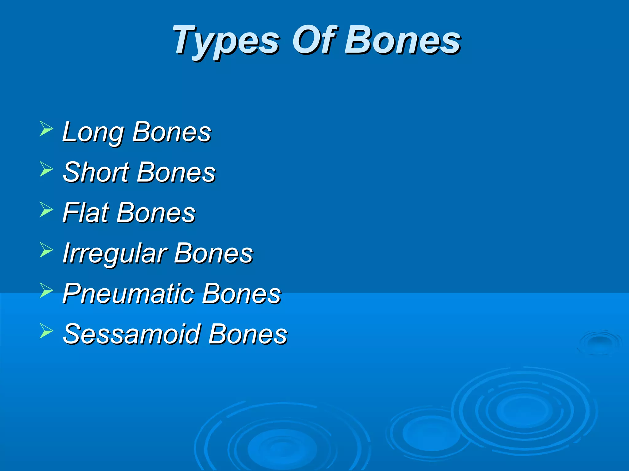 Types Of BonesTypes Of Bones
 Long BonesLong Bones
 Short BonesShort Bones
 Flat BonesFlat Bones
 Irregular BonesIrregular Bones
 Pneumatic BonesPneumatic Bones
 Sessamoid BonesSessamoid Bones
 