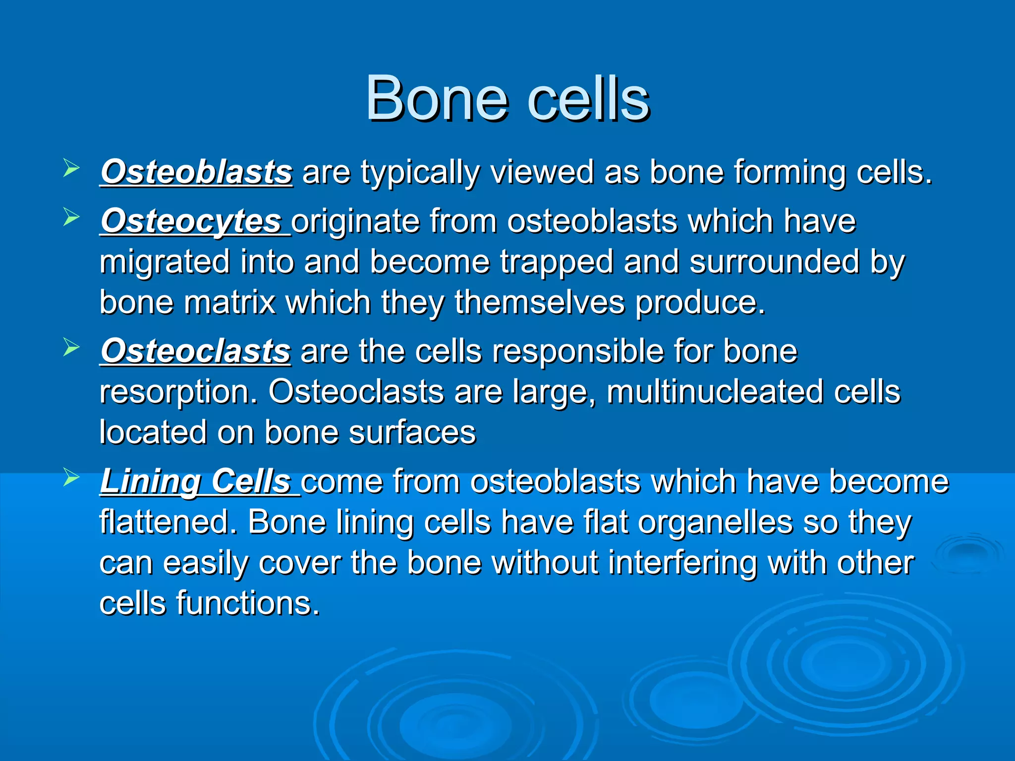 Bone cellsBone cells
 OsteoblastsOsteoblasts are typically viewed as bone forming cells.are typically viewed as bone forming cells.
 OsteocytesOsteocytes originate from osteoblasts which haveoriginate from osteoblasts which have
migrated into and become trapped and surrounded bymigrated into and become trapped and surrounded by
bone matrix which they themselves produce.bone matrix which they themselves produce.
 OsteoclastsOsteoclasts are the cells responsible for boneare the cells responsible for bone
resorption. Osteoclasts are large, multinucleated cellsresorption. Osteoclasts are large, multinucleated cells
located on bone surfaceslocated on bone surfaces
 Lining CellsLining Cells come from osteoblasts which have becomecome from osteoblasts which have become
flattenedflattened.. Bone lining cells have flat organelles so theyBone lining cells have flat organelles so they
can easily cover the bone without interfering with othercan easily cover the bone without interfering with other
cells functionscells functions..
 