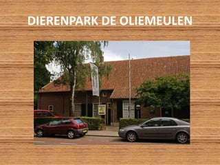 DIERENPARK DE OLIEMEULEN