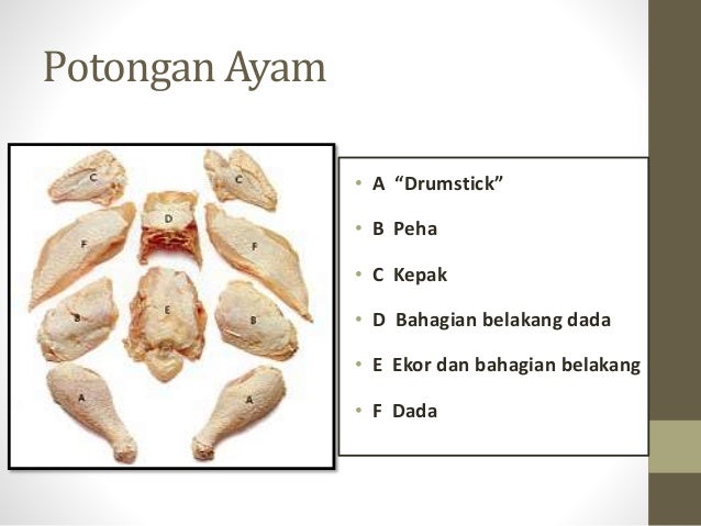 Thigh meaning in malay