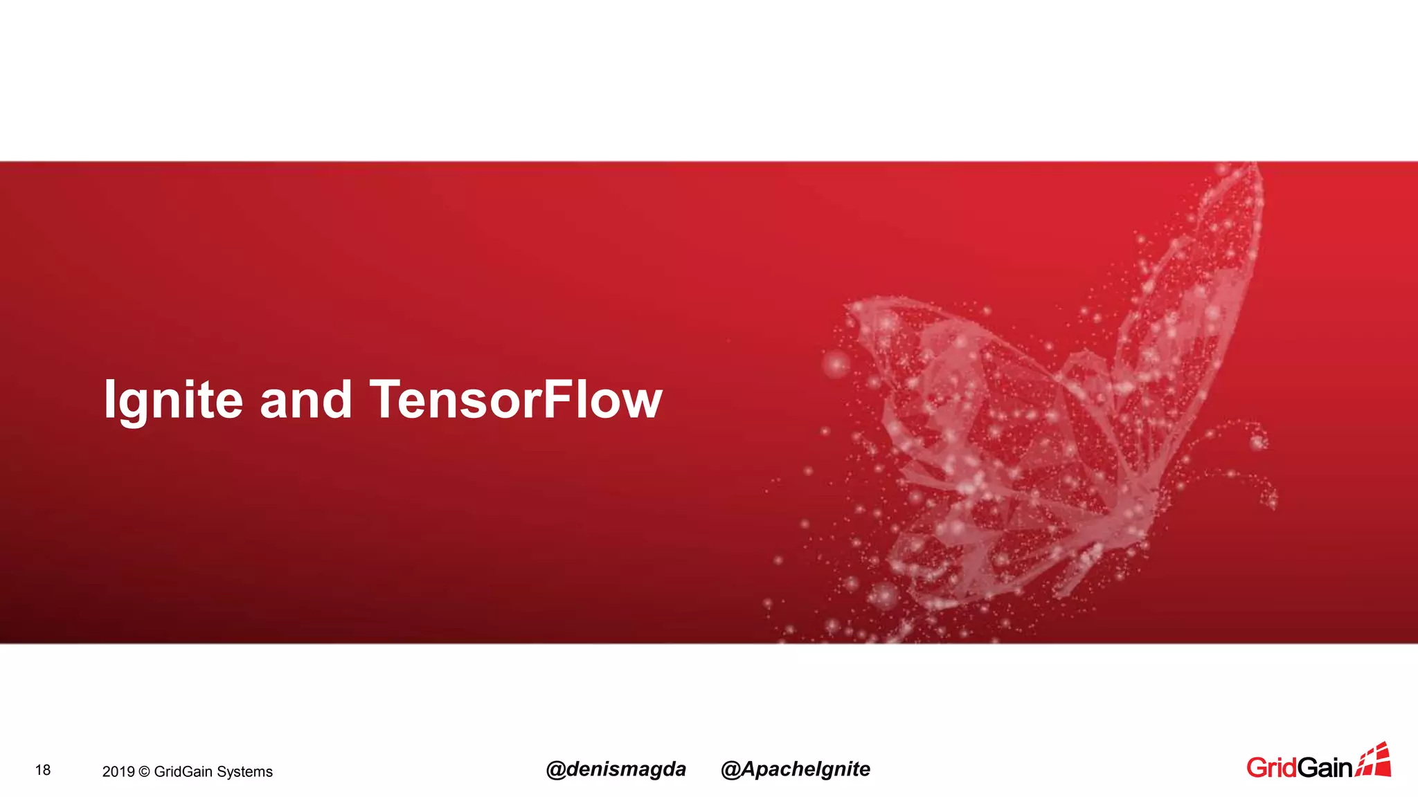 2019 © GridGain Systems @denismagda @ApacheIgnite18 Ignite and TensorFlow 