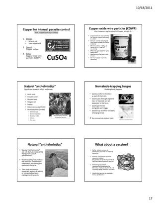 10/18/2011




    Copper for internal parasite control                                   Copper oxide wire particles (COWP) 
                                                                                  http://www.attra.org/attra‐pub/PDF/copper_wire.pdf ($)
                        Risk:  copper toxicity in sheep
                                                                          • Copper boluses are available 
                                                                            for use for copper deficiency 
    1. Dietary                                                              in cattle.
            Mineral mix                                                   • Boluses can be repackaged 
                                                                            into doses suitable for lambs 
            Feed supplement                                                 and kids.
                                                                          • Minimum dose is 0 5 g; as
                                                                            Minimum dose is 0.5 g; as 
    2. Drench                                                               much as 2‐4 g may be 
       Copper sulfate                                                       necessary.
                                                                          • Effective against barber pole 
                                                                            worm only.
    3. Bolus                                                              • Mechanism of action is not 
       Copper oxide wire 
       particles (COWP) 
                                        CuSO4                               known.
                                                                          • Form of copper is poorly 
                                                                            absorbed.




      Natural “anthelmintics”                                                       Nematode‐trapping fungus
      Significant research effort underway                                                        Duddingtonia flagrans

       •   Garlic juice                                                     • Spores are fed to livestock 
       •   Pumpkin seed                                                       as part of their diet.
       •   Mustard seed                                                     • Spores pass through digestive 
                                                                              tract of livestock and are 
       •   Oregano oil
                                                                              deposited in the feces.
                                                                              deposited in the feces
       •   Papaya 
                                                                            • Spores germinate 
       •   Diatomaceous earth (DE)
                                                                              alongside worm eggs.
       •   Bioactive plants (herbal)
                                                                            • Spores trap and feed on newly 
            –   Artemisia spp. 
            –   Sericea lespedeza
                                                                              emerging larvae.
            –   Birdsfoot trefoil                Sesquiterpene lactones
                                                   Condensed tannins
            –   Chicory                                                        No commercial product (yet)
                                                                                                                      Image source: Louisiana State University
            –   Pine bark




           Natural “anthelmintics”                                                  What about a vaccine?
• Natural “anthelmintics”                                                   • So far, limited success in 
  are not likely to replace the                                               developing vaccines for internal 
  therapeutic use of                                                          parasites.
  anthelmintics.                                                            • Paravac Consortium received 
                                                                              record €9 million 
  However, they may reduce 
• However they may reduce                                                     EU grant to fund development of 
                                                                              EU grant to fund development of
  the need for anthelmintic                                                   vaccines against parasitic worms.
  treatments disrupting the 
  parasite’s life cycle.                                                    • Promising vaccine for 
                                                                              Haemonchus developed by 
                                                                              Moredun Institute (Scotland) and 
• They may become an                                                          currently being tested in Australia.
  important aspect of holistic 
  or integrated parasite                                                    • Would the vaccine be available 
  management systems.                                                         to U.S. producers? 




                                                                                                                                                                        17
 