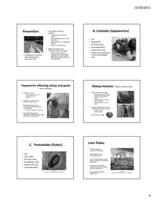 10/18/2011




  Prevention                                    • Limit deer access to 
                                                  pasture.
                                                                                                       B. Cestodes (tapeworms)
                                                      – Eliminate deer via lethal 
                                                        means.
                                                      – Deer‐proof fencing for small 
                                                        operations.                              •   Flat 
                                                      – Make pastures less appealing             •   Segmented
                                                        to deer.
                                                        Feed in enclosed areas.
                                                      – Feed in enclosed areas                   •   No body cavity
                                                                                                     No body cavity
                                                                                                 •   Hermaphrodites
                                                • Reduce exposure to 
                                                  infected snails and slugs.                     •   Indirect life cycle
                                                      – Do not allow access to                   •   Some cause symptoms 
                                                        pastures that  contain thick 
  • Prophylactic treatment                              vegetation or moist shaded                   in the intermediate 
    with anthelmintics                                  areas that are favorable snail               host.
    (every 10‐14 d).                                    and slug habits.




Tapeworms affecting sheep and goats                                                                   Sheep measles  (Ovine cysticercosis)
                                  Genus Moniezia

• Indirect life cycle                                                                             • Sheep tapeworm of dogs
      – Pasture mites serve as an                                                                     – Transmitted to sheep eating 
        intermediate host.                                                                              forages contaminated  with 
                                                                                                        tapeworm eggs shed by 
      – 6 weeks                                                                                         canines.
                                                                                                      – Sheep and goats host larval 
• Segments visible in feces.                                                                            stage of parasite
                                                                                                           g     p
     Only worm visible in feces                                                                       – No clinical signs in sheep or 
                                                                                                        goats.                                 Image source: Optimal Livestock Services, LLC
• Generally thought to be 
  non‐pathogenic and of little                                                                    • Causes development of cysts 
  consequence.                                                                                      in skeletal and heart muscle.
      – Usually no benefit to treatment                                                               – Cause of carcass 
                                                                                                        condemnation.
• Treat with albendazole 
  (Valbazen®), fenbendazole (Safe‐                                                                → Control point:  dogs
  Guard®), or praziquantel.




                                                                                               Liver flukes
                C.  Trematodes (flukes)
                                                                                               • Fasciola hepatica
                                                                                                 (common liver fluke)

 •    Flat                                                                                     • Gastropods serve as 
                                                                                                 intermediate host.
 •    Oval shape
 •    No body cavity                                                                           • In U.S., found mainly in Gulf 
                                                                                                 states, California, and Pacific 
 •    No digestive tube                                                                          Northwest.
 •    Indirect life cycle                                                                      • Symptoms include pale 
 •    Hermaphrodites                                                                             mucous membranes, bottle 
                                                                                                 jaw, and weight loss.
                                                              Image source: 
                                                                                                                                                        Image source: 
                                          http://www.flickr.com/photos/peteredin/3386220058/   • Treat with albendazole                  Agricultural Research Council in South Africa
                                                                                                 (Valbazen®).




                                                                                                                                                                                                 4
 