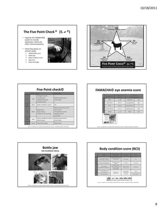 10/18/2011




                                                                                                                                                                              Back
                                                                                                                                                         body condition (and coat condition)

 The Five Point Check ©    (5.                                                                               ©)
                                                                                                                                                                                 2
• Expands the FAMACHA© 
  system to include                                                                                                        Eye                                                                                                       Tail
  evaluation criteria for                                                                                                anemia                  1                                                                3            soiling , dags
  other internal parasites.                                                                                          FAMACHA© score                                                                                              (scours)



• Check five places on 
  animal’s body
   1.    FAMACHA© score                                                                                                                                       4                                     5
   2.    Bottle jaw
   3.    Body condition score                                                                                                            Jaw                                                                       Nose
                                                                                                                                   swelling, edema                                                           nasal discharge
   4.    Dag score                                                                                                                   “bottle jaw”                                                              (nose bots)
   5.    Nasal discharge
                                                                                                                                       FIVE POINT CHECK©   (5.                                                                  ©)
                                                                                                                                       FOR TARGETED SELECTIVE TREATMENT OF INTERNAL PARASITES IN SMALL RUMINANTS
                                                                                                                                       G.F. BATH AND J.A. VAN WYK, FACULTY OF VETERINARY SCIENCE,  UNIVERSITY OF PRETORIA, SOUTH AFRICA




                              Five Point check©                                                                        FAMACHA© eye anemia score
   Point       What to check                                                 Specificity
                                Paling of ocular                                                                                                                                   Packed cell                              Treatment 
                                                                                                                                                  Eye lid color
                                                                                                                                                                                    volume                               recommendation
                                membranes                                    Barber pole worm
    1             Eye
                                FAMACHA© eye                                 Liver fluke                                                  1               Red                           > 28                       Optimal                          No
                                anemia score
                                                                                                                                          2          Red-Pink                          23-27                    Acceptable                          No
    2            Back           Body condition score                         All
                                                                                                                                          3              Pink                          18 22
                                                                                                                                                                                       18-22                     Borderline                           ?
                                                                             Brown stomach worm
                                Dag score                                    Hair worm
                                                                                                                                          4        Pink-White                          13-17                    Dangerous                           Yes

    3             Rear          fecal soiling                                Threadneck worm                                              5             White                           < 12                          Fatal                         Yes
                                evidence of scouring                         Nodule worm
                                                                             Coccidia
                                Sub‐mandibular edema  Barber pole worm
    4             Jaw
                                (bottle jaw)          Liver fluke
    5            Nose           Nasal discharge                              Nasal bots

        Source:  G.F. Bath and J.A. van Wyk, Faculty of Veterinary  Science,  University of Pretoria, South Africa         Source:  G.F. Bath and J.A. van Wyk, Faculty of Veterinary  Science,  University of Pretoria, South Africa




                                              Bottle jaw                                                                        Body condition score (BCS)
                                           Sub‐mandibular edema
                                                                                                                                                                       Transverse 
                                                                                                                                        Spine                                                            Muscle                              Fat
                                                                                                                                                                       processes
                                                                                                                                                                  Fingers easily pass
                                                                                                                               Individually clearly
                                                                                                                       1       felt, sharp, obvious
                                                                                                                                                                      underneath                         Very little                         No


                                                                                                                               Form a smooth line                    Smooth round
                                                                                                                       2      with deep undulations                     edges
                                                                                                                                                                                                         Concave                          Very thin

                                                                                                                                                                     Well covered
                                                                                                                                  Only slightly                   have to push firmly                   Not concave
                                                                                                                       3     detectable undulations                 to get fingers                      Not convex
                                                                                                                                                                                                                                          Moderate
                                                                                                                                                                     underneath
                                                                                                                               Only detectable with
                                                                                                                       4          firm pressure                         Cannot be
                                                                                                                                                                                                        Maximally                           Thick
                                                                                                                                                                                                        developed
                                                                                                                                                                        felt at all
                                                                                                                       5           Not detectable                                                        Convex                           Very thick




                                                                                                                            Source:  G.F. Bath and J.A. van Wyk, Faculty of Veterinary  Science,  University of Pretoria, South Africa

        Source:  G.F. Bath and J.A. van Wyk, Faculty of Veterinary  Science,  University of Pretoria, South Africa




                                                                                                                                                                                                                                                                  8
 