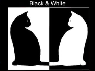 Black & White
 