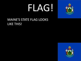 FLAG!MAINE’S STATE FLAG LOOKS LIKE THIS! 