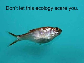 Don’t let this ecology scare you. 