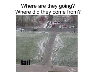 Where are they going? Where did they come from? 