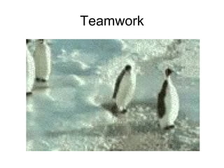 Teamwork 