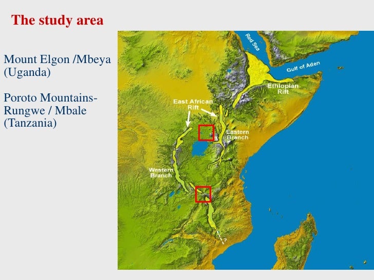 Urban Rural Linkages In East African Mountains The Role Of Secondary