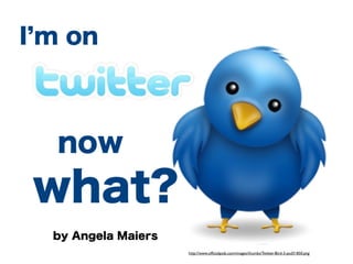 I'm on Twitter, Now What?