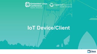IoT Device/Client
 