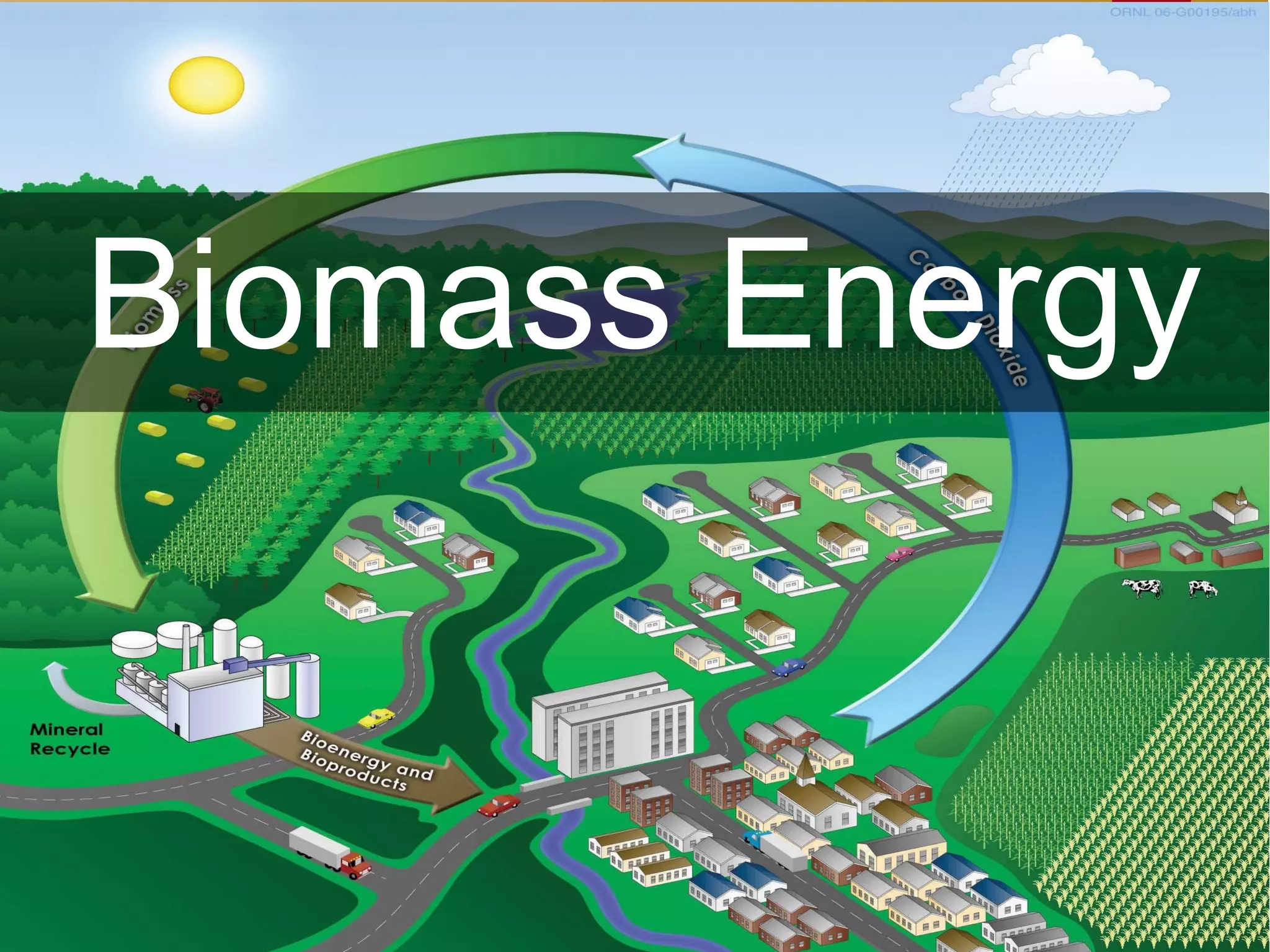Biomass Energy
 