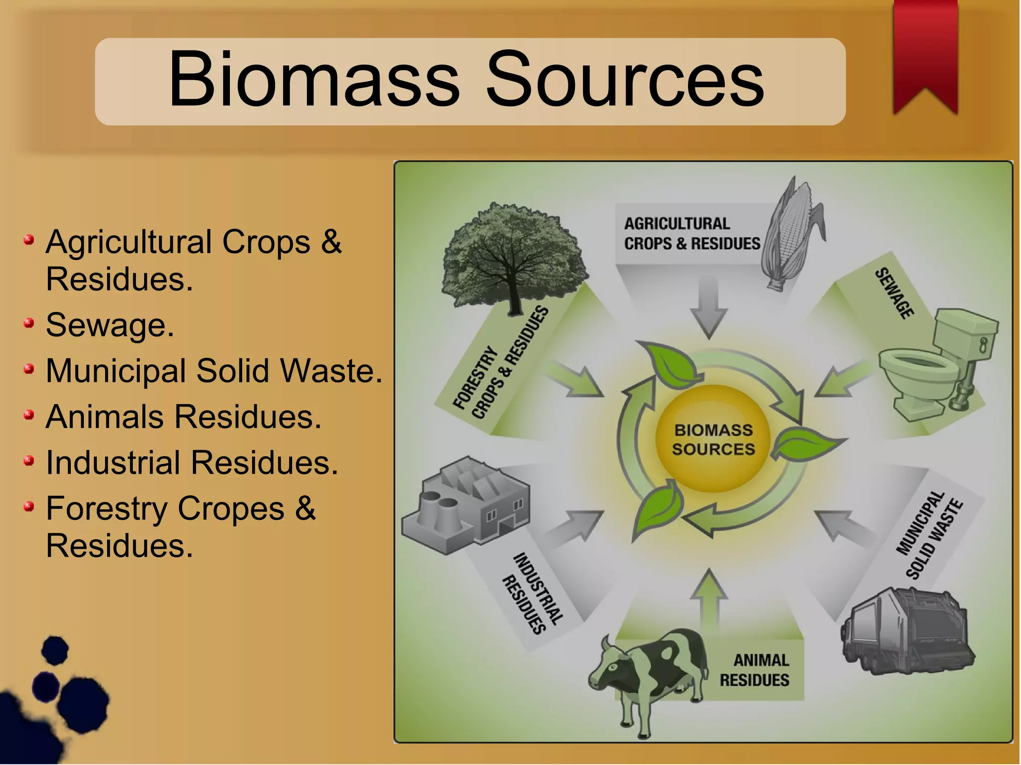 Biomass Sources
Agricultural Crops &
Residues.
Sewage.
Municipal Solid Waste.
Animals Residues.
Industrial Residues.
Forestry Cropes &
Residues.
 
