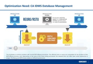 Optimization Need: CA IDMS Database Management
Syncsort Confidential and Proprietary - do not copy or distribute
 