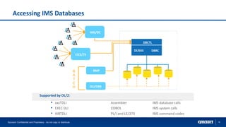 18
Accessing IMS Databases
DBCTL
DLISAS DBRC
IMS/DC
CICS/TS
BMP
DLI/DBB
B
A
T
C
H
Syncsort Confidential and Proprietary - do not copy or distribute
Supported by DL/2:
• xxxTDLI Assembler IMS database calls
• EXEC DLI COBOL IMS system calls
• AIBTDLI PL/I and LE/370 IMS command codes
 
