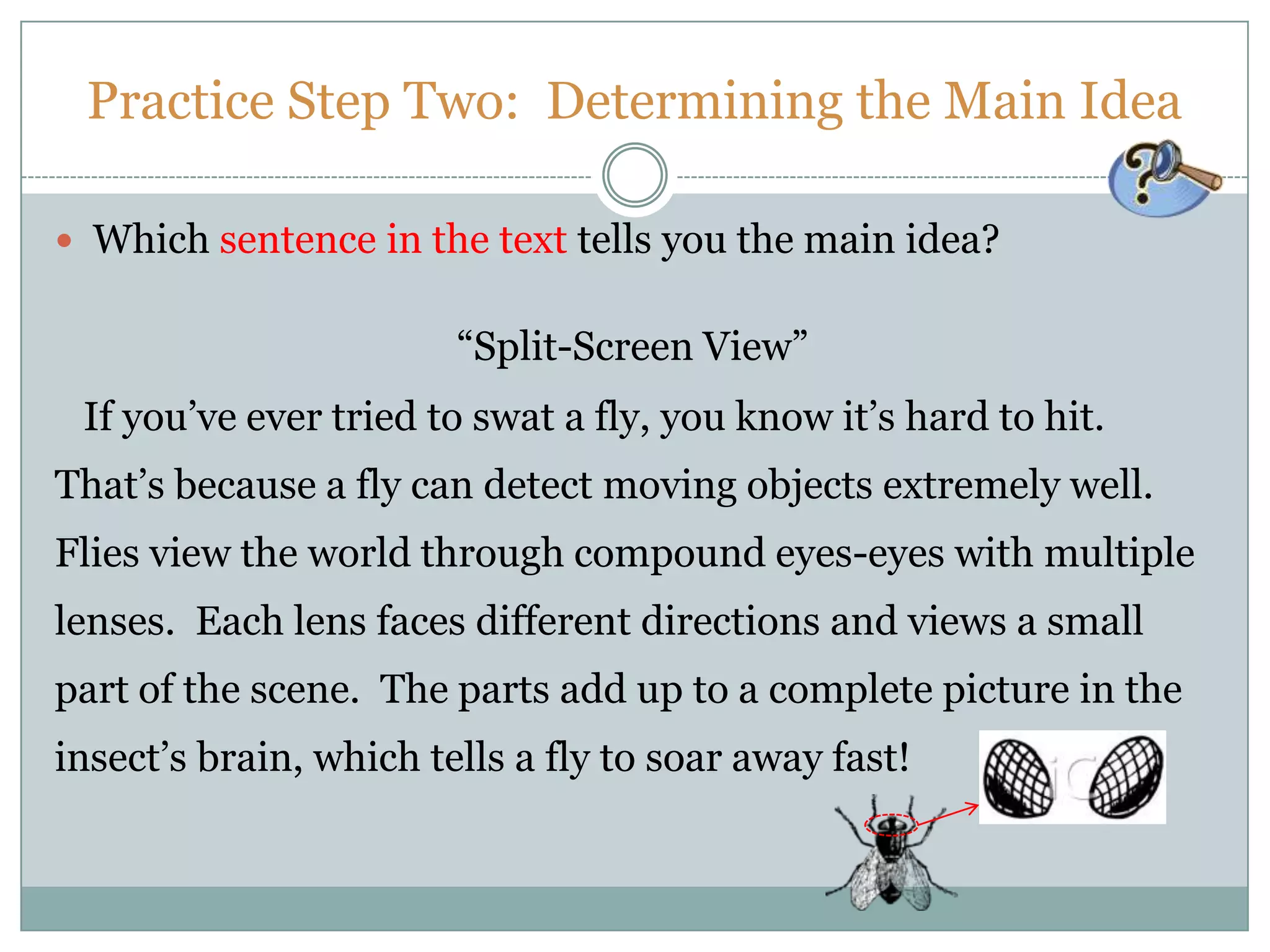 Practice Step Two: Determining the Main Idea
 Which sentence in the text tells you the main idea?
“Split-Screen View”
If you’ve ever tried to swat a fly, you know it’s hard to hit.
That’s because a fly can detect moving objects extremely well.
Flies view the world through compound eyes-eyes with multiple
lenses. Each lens faces different directions and views a small
part of the scene. The parts add up to a complete picture in the
insect’s brain, which tells a fly to soar away fast!
 