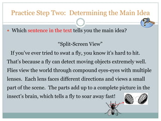 Practice Step Two: Determining the Main Idea
 Which sentence in the text tells you the main idea?
“Split-Screen View”
If you’ve ever tried to swat a fly, you know it’s hard to hit.
That’s because a fly can detect moving objects extremely well.
Flies view the world through compound eyes-eyes with multiple
lenses. Each lens faces different directions and views a small
part of the scene. The parts add up to a complete picture in the
insect’s brain, which tells a fly to soar away fast!
 