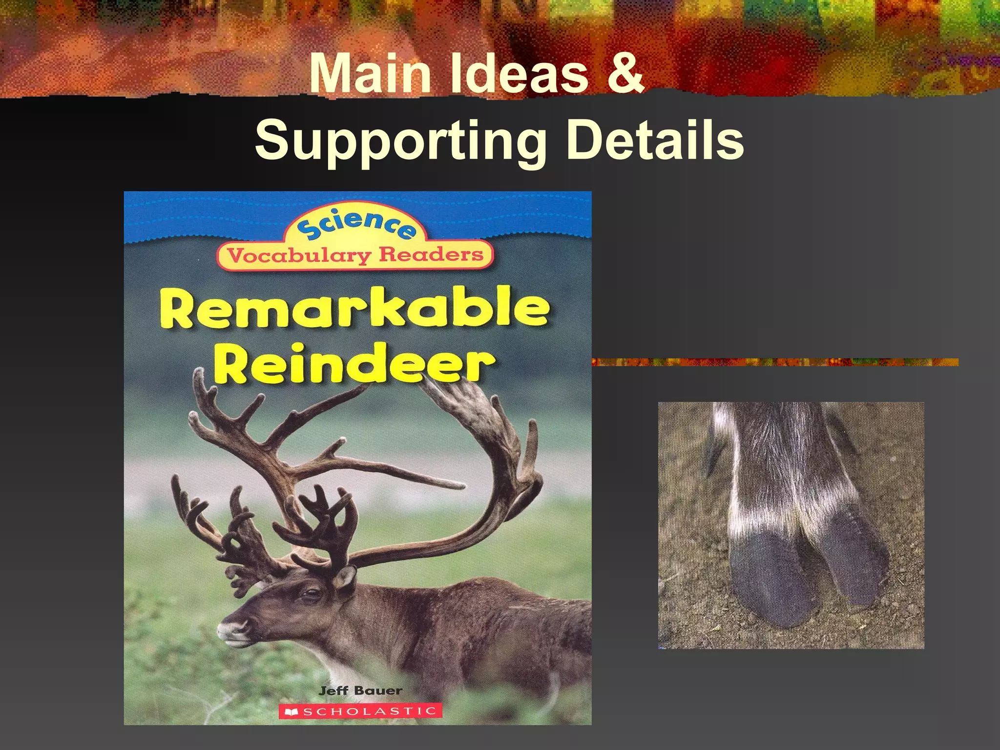 Main Ideas &
Supporting Details