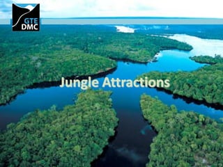 Jungle Attractions
 