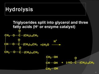 Hydrolysis Triglycerides split into glycerol and three fatty acids (H +  or enzyme catalyst) 