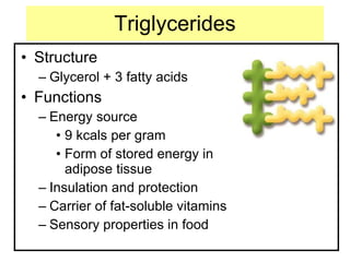 Triglycerides Structure Glycerol + 3 fatty acids Functions Energy source 9 kcals per gram Form of stored energy in adipose tissue Insulation and protection Carrier of fat-soluble vitamins Sensory properties in food 