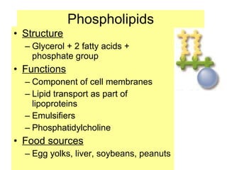 Phospholipids Structure Glycerol + 2 fatty acids + phosphate group Functions Component of cell membranes Lipid transport as part of lipoproteins Emulsifiers Phosphatidylcholine Food sources Egg yolks, liver, soybeans, peanuts 