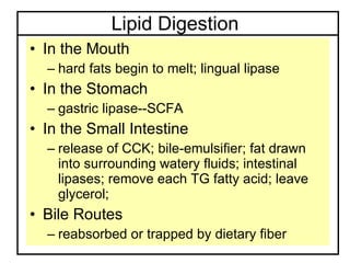 Lipid Digestion In the Mouth hard fats begin to melt; lingual lipase In the Stomach gastric lipase--SCFA In the Small Intestine release of CCK; bile-emulsifier; fat drawn into surrounding watery fluids; intestinal lipases; remove each TG fatty acid; leave glycerol; Bile Routes reabsorbed or trapped by dietary fiber 