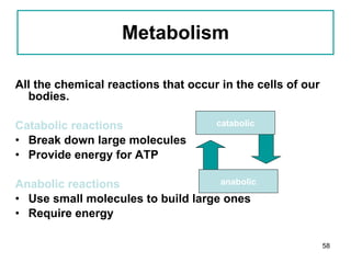 Metabolism All the chemical reactions that occur in the cells of our bodies. Catabolic reactions Break down large molecules  Provide energy for ATP Anabolic reactions Use small molecules to build large ones Require energy catabolic anabolic 