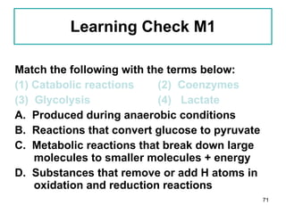 Learning Check M1 Match the following with the terms below: (1) Catabolic reactions (2)  Coenzymes (3)  Glycolysis (4)  Lactate A.  Produced during anaerobic conditions B.  Reactions that convert glucose to pyruvate C.  Metabolic reactions that break down large molecules to smaller molecules + energy D.  Substances that remove or add H atoms in oxidation and reduction reactions 
