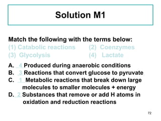 Solution M1 Match the following with the terms below: (1) Catabolic reactions (2)  Coenzymes Glycolysis (4)  Lactate A.  4  Produced during anaerobic conditions B.  3  Reactions that convert glucose to pyruvate C.  1  Metabolic reactions that break down large   molecules to smaller molecules + energy D.   2  Substances that remove or add H atoms in oxidation and reduction reactions 