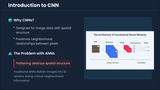 Comprehensive Guide to Convolutional Neural Networks in Deep Learning ...