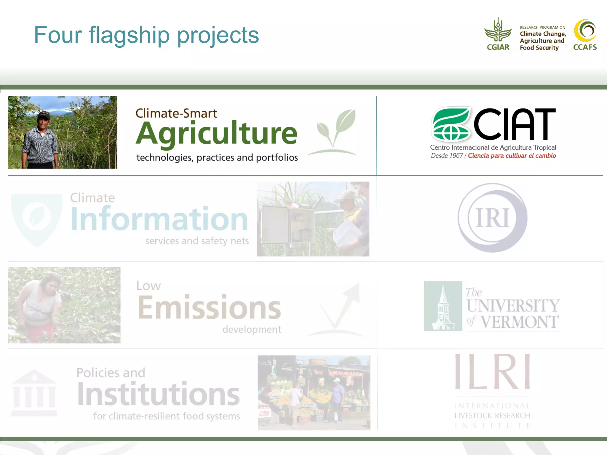 Four flagship projects
 