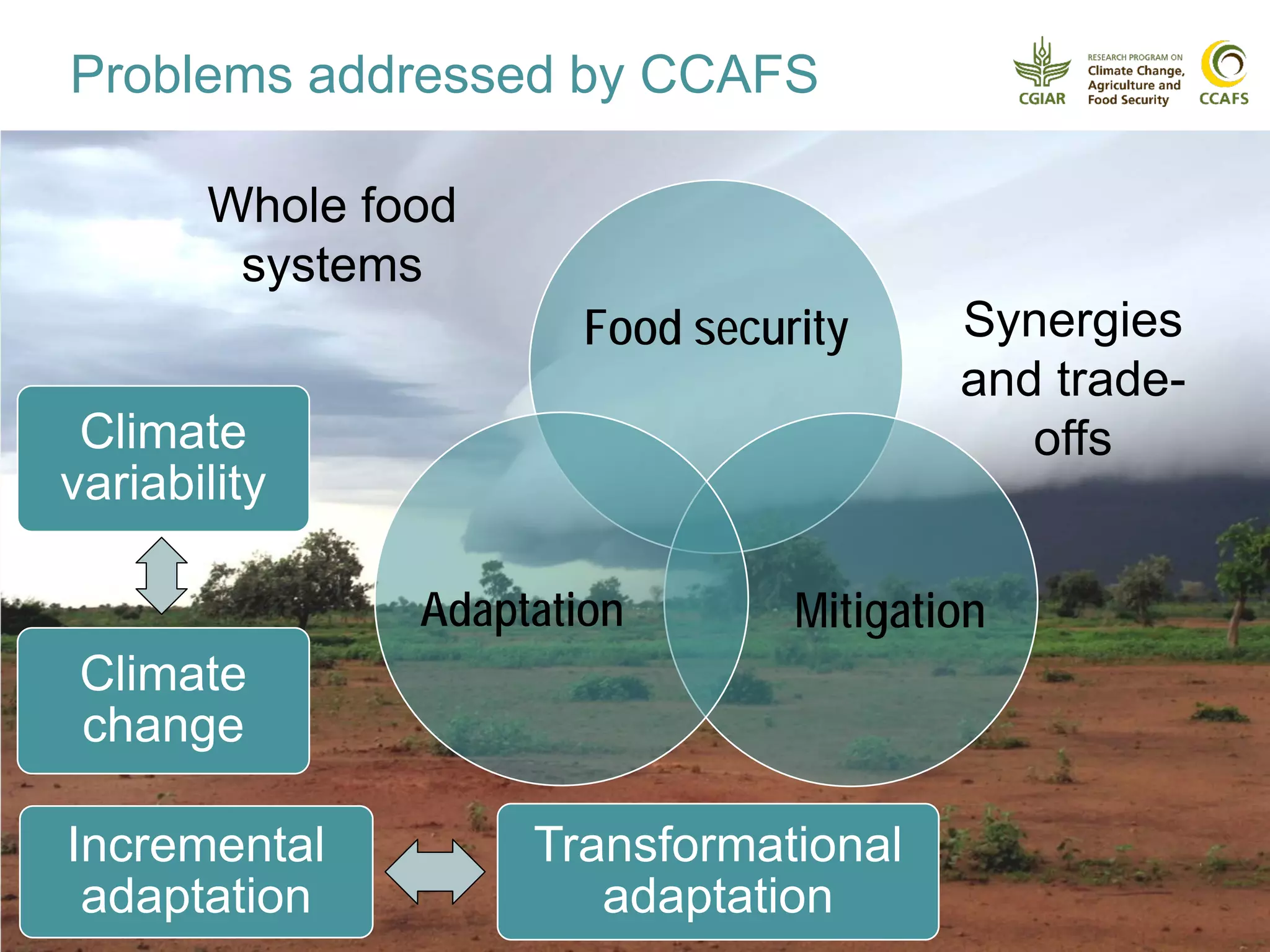Incremental
adaptation
Transformational
adaptation
Food security
MitigationAdaptation
Climate
variability
Climate
change
Synergies
and trade-
offs
Whole food
systems
Problems addressed by CCAFS
 