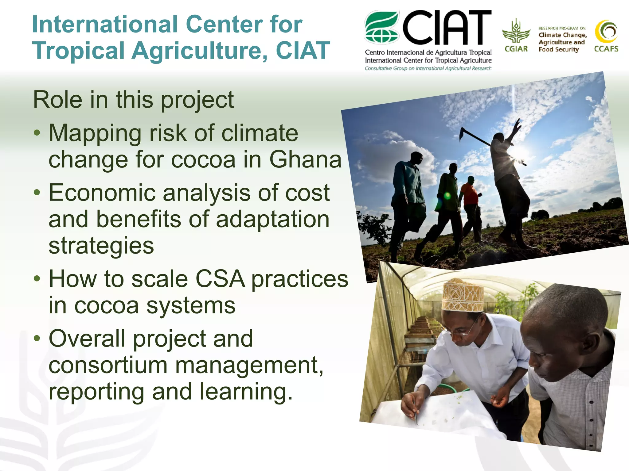 International Center for
Tropical Agriculture, CIAT
Role in this project
• Mapping risk of climate
change for cocoa in Ghana
• Economic analysis of cost
and benefits of adaptation
strategies
• How to scale CSA practices
in cocoa systems
• Overall project and
consortium management,
reporting and learning.
 