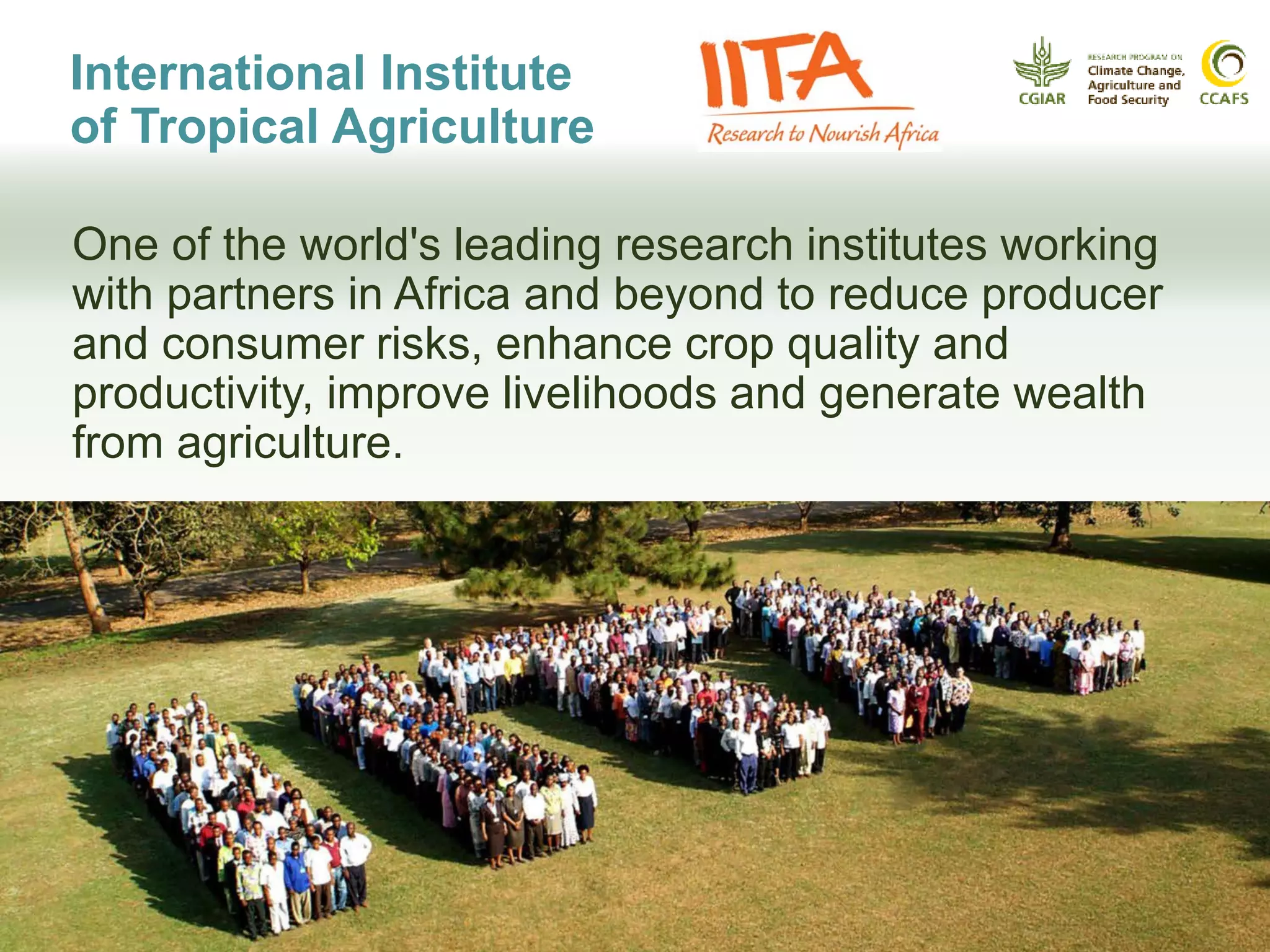 International Institute
of Tropical Agriculture
One of the world's leading research institutes working
with partners in Africa and beyond to reduce producer
and consumer risks, enhance crop quality and
productivity, improve livelihoods and generate wealth
from agriculture.
 