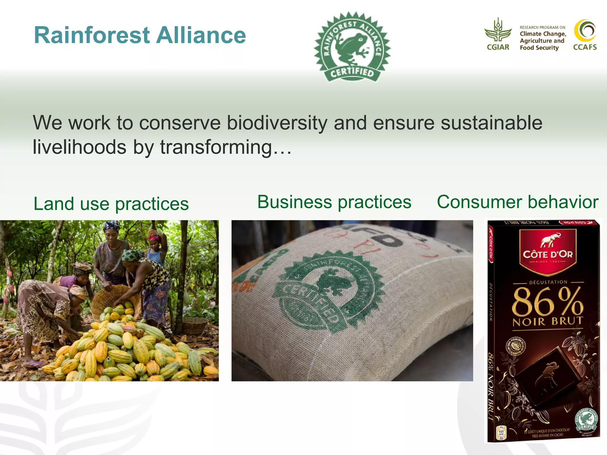 21
Rainforest Alliance
We work to conserve biodiversity and ensure sustainable
livelihoods by transforming…
Consumer behaviorBusiness practicesLand use practices
 