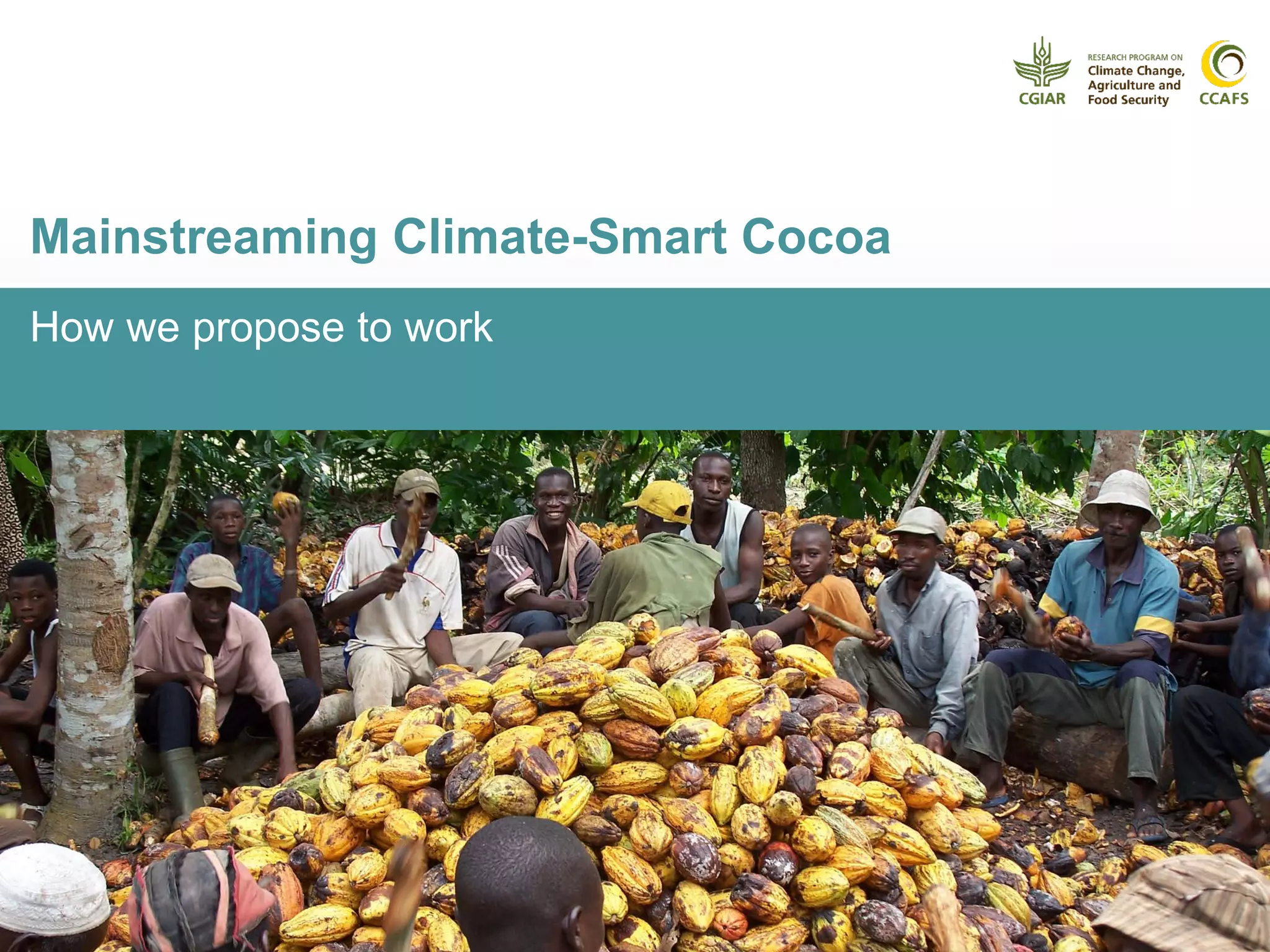 How we propose to work
Mainstreaming Climate-Smart Cocoa
 