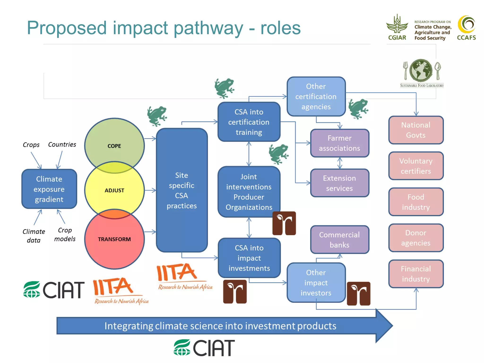 Proposed impact pathway - roles
 