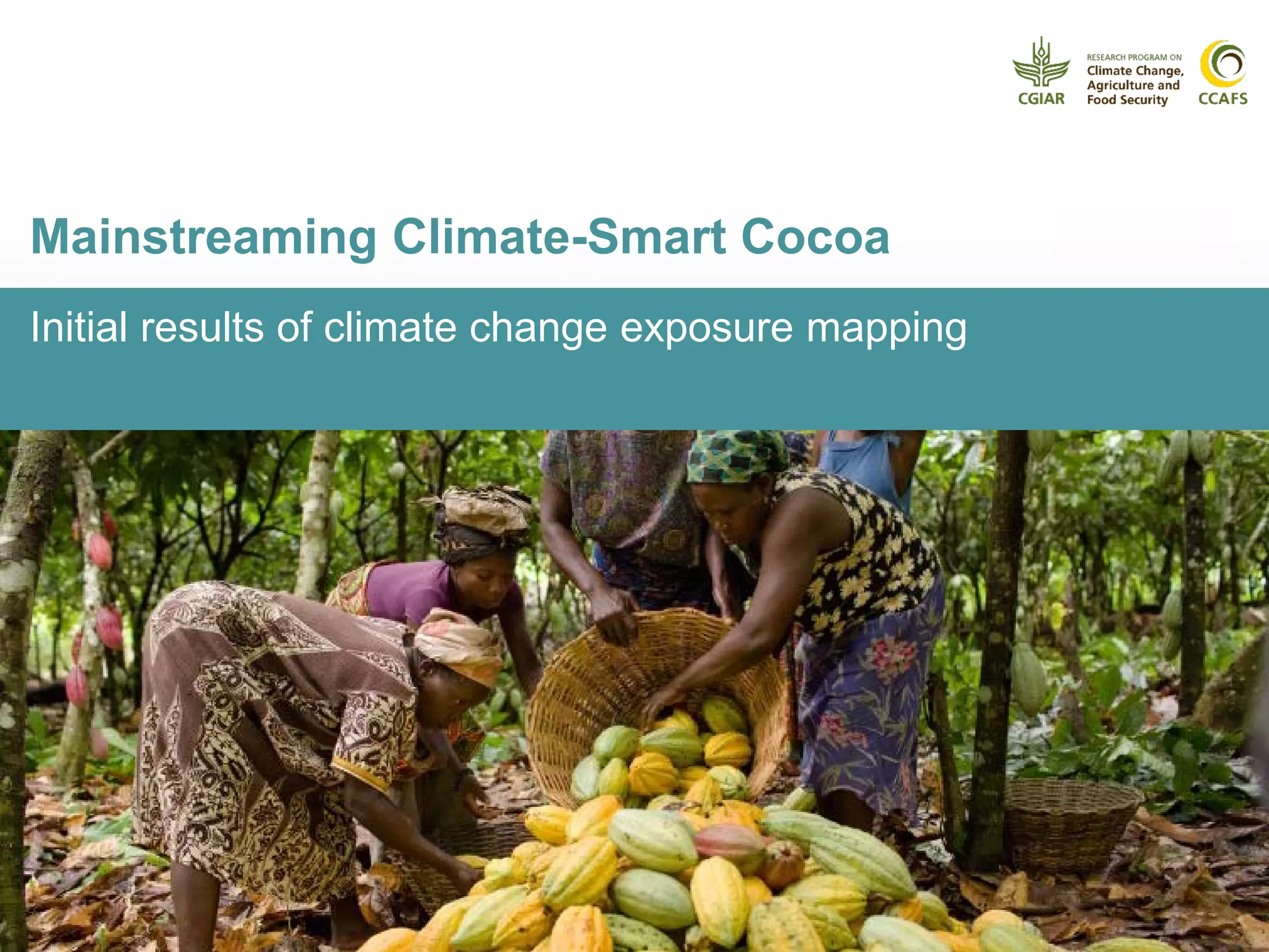 Initial results of climate change exposure mapping
Mainstreaming Climate-Smart Cocoa
 