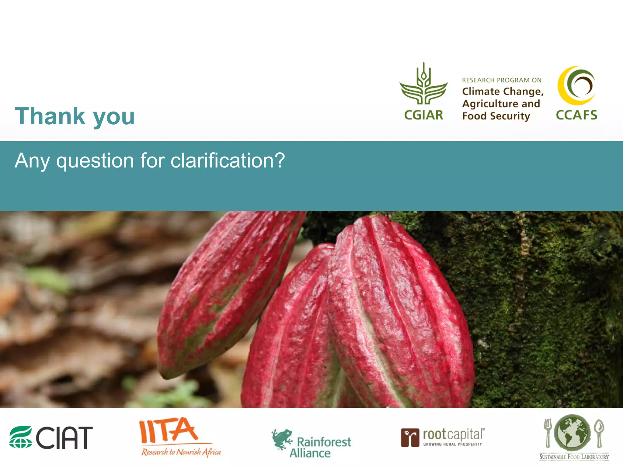 Any question for clarification?
Thank you
 