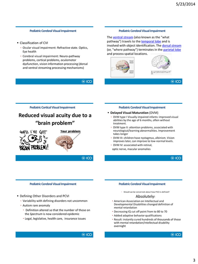 Lecture Handouts Pediatric Cortical Visual Impairment
