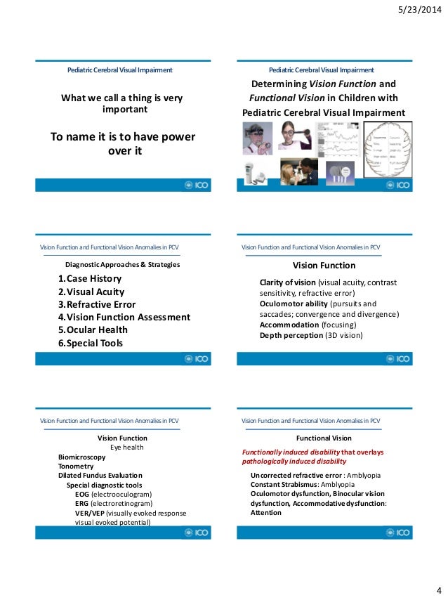 Lecture Handouts Pediatric Cortical Visual Impairment