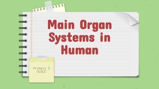 Main Organ
Systems in
Human
Primary 3
GCSCC
 